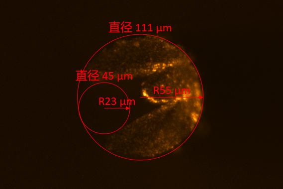 丝材微孔2.png